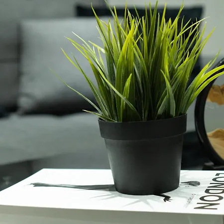 - Modernes Heim Li-apartments Apartment *